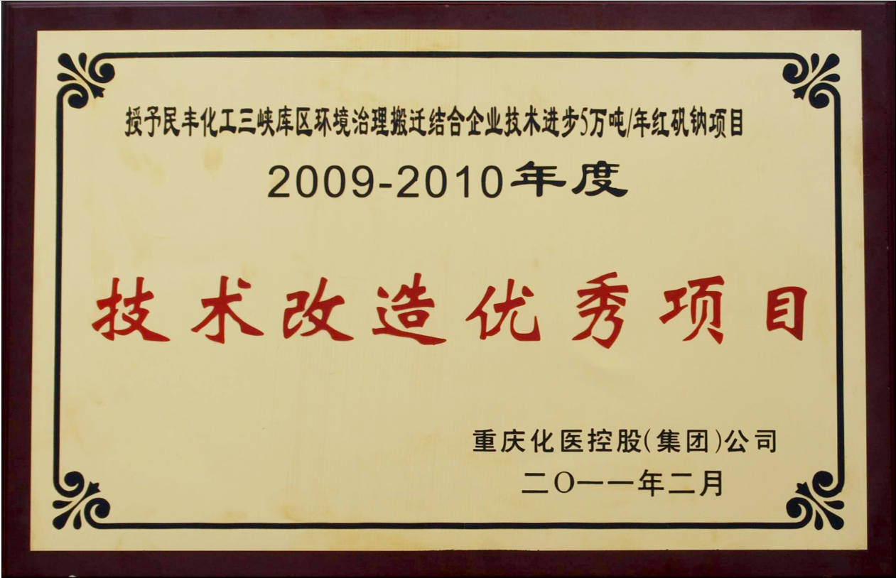 我司被重庆化医控股（集团）授予技术改造优秀项目